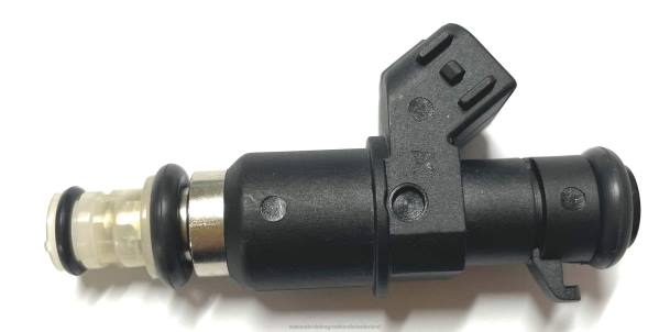 F4NV1973 - groothandel auto onderdelen Lochem - brandstofinjector 16450raaa01
