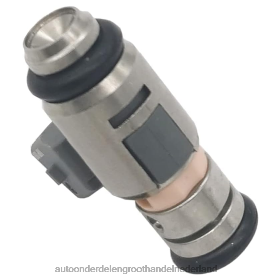 iwp099 brandstofinjector voor renault - groothandel in auto-onderdelen - FTBXV705