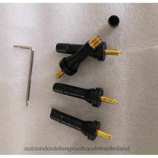 Tpms Rongwei bandenspanningsensor 10718213- auto-onderdelen kopen - FTBXV2595